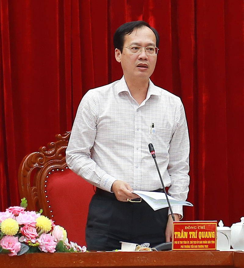 Đồng chí Trần Trí Quang – Phó Bí thư Tỉnh ủy, Chủ tịch UBND tỉnh, Phó trưởng Tiểu ban Thường trực phát biểu tại phiên họp.