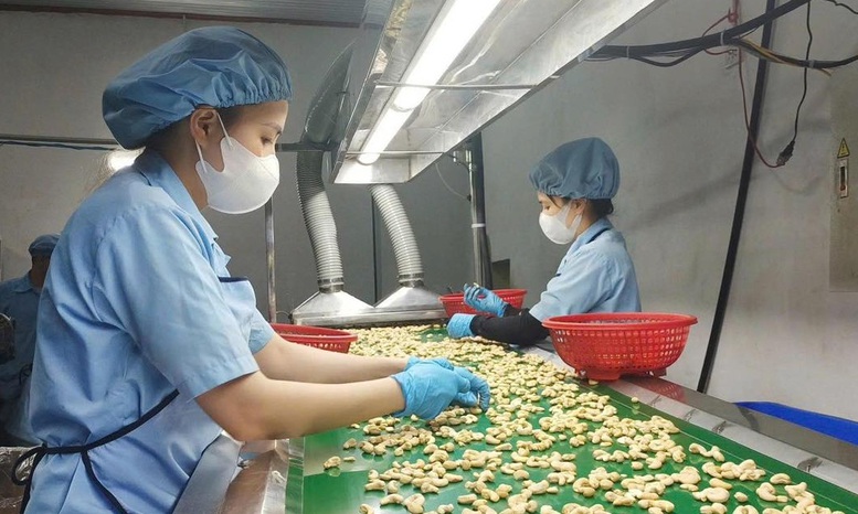 Trong xuất khẩu nông, lâm, thủy sản quý I/2026, nhiều nhóm hàng chủ lực tiếp tục duy trì đà tăng trưởng tích cực - Ảnh: VGP/Đỗ Hương

