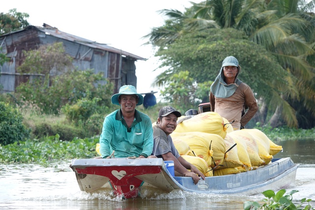 ĐBSCL đang vào vụ thu hoạch lúa đông xuân

ẢNH: DUY TÂN

