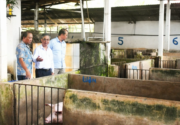 Khảo sát, kiểm tra hoạt động các cơ sở giết mổ động vật trên địa bàn tỉnh