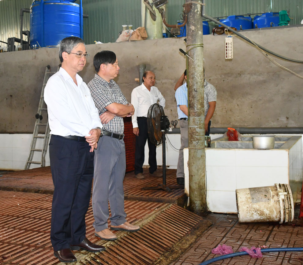 Phó Chủ tịch UBND tỉnh- Châu Văn Hòa kiểm tra cơ sở giết mổ bò của hộ bà Chu Thị Kim Yến (xã Tân Thành Bình).