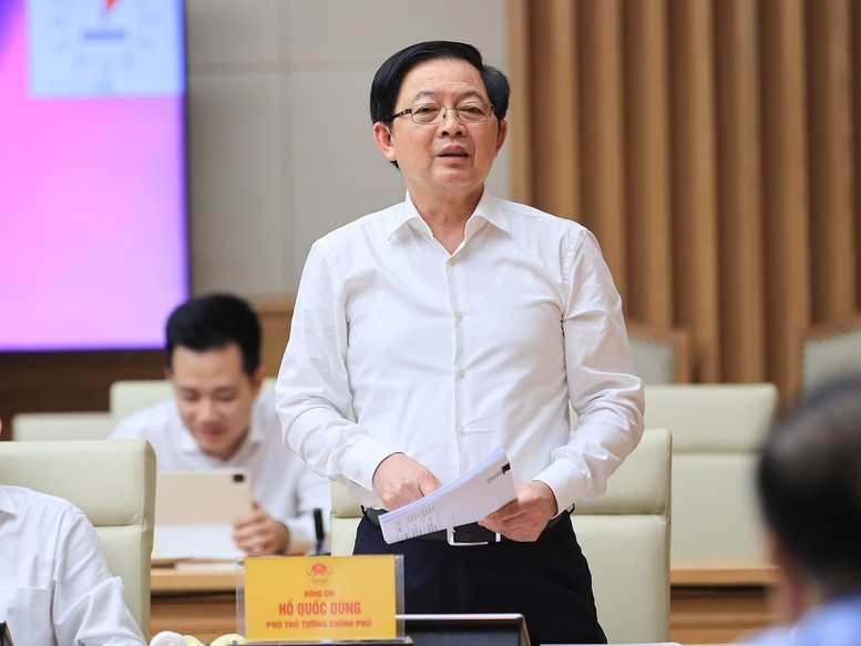 Phó Thủ tướng Chính phủ Hồ Quốc Dũng phát biểu ý kiến tại cuộc làm việc. (Ảnh: VGP/Nhật Bắc)
