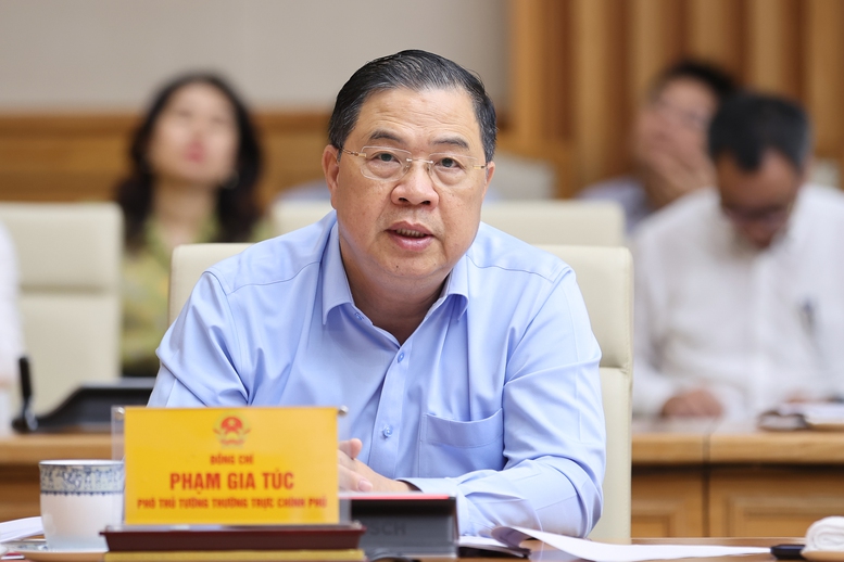 Phó Thủ tướng Thường trực Chính phủ Phạm Gia Túc phát biểu - Ảnh: VGP/Nhật Bắc

