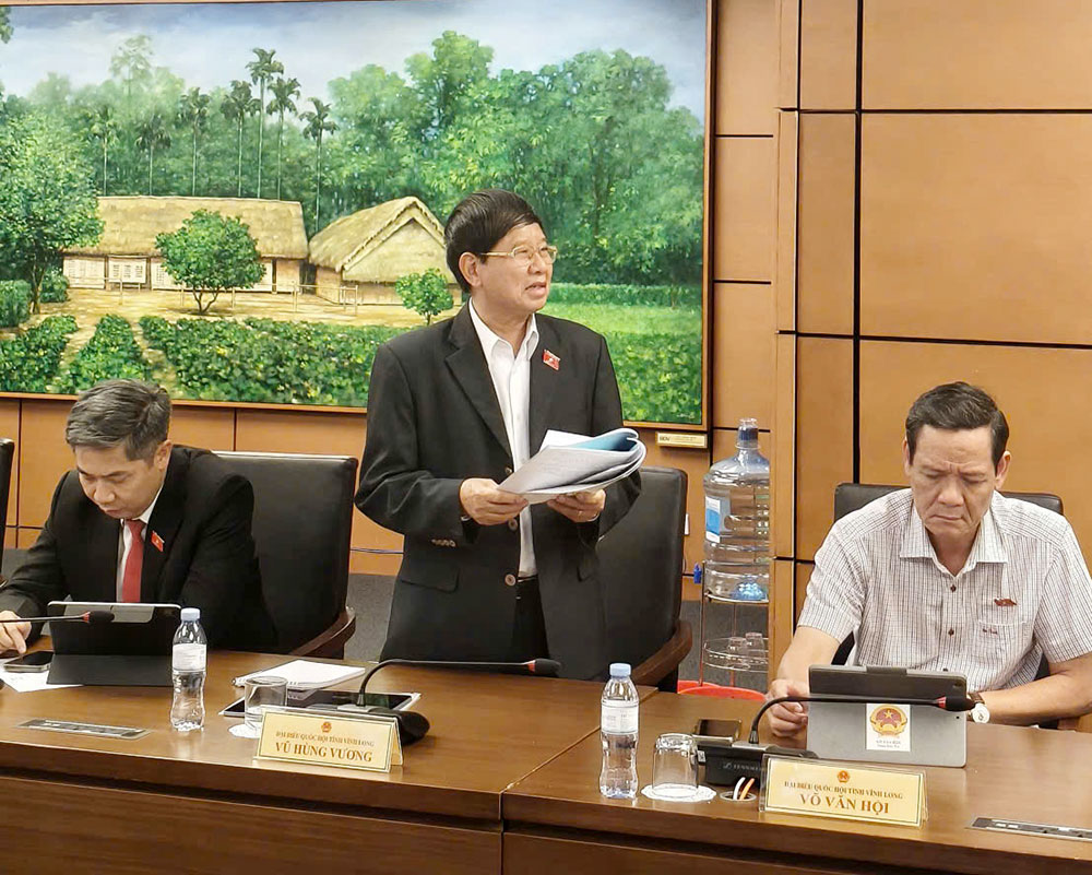 Đại biểu Vũ Hùng Vương tham gia phát biểu.