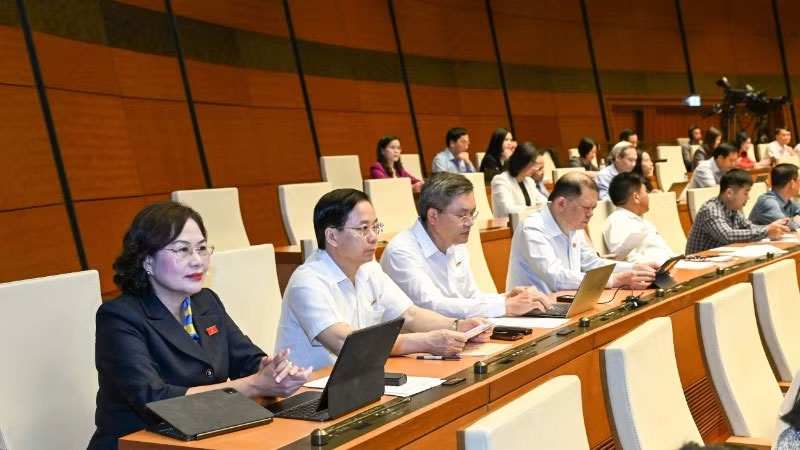 Các đại biểu Quốc hội làm việc tại hội trường. (Ảnh: DUY LINH)