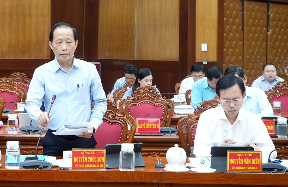 Phó Chủ tịch UBND tỉnh Nguyễn Trúc Sơn đóng góp ý kiến.