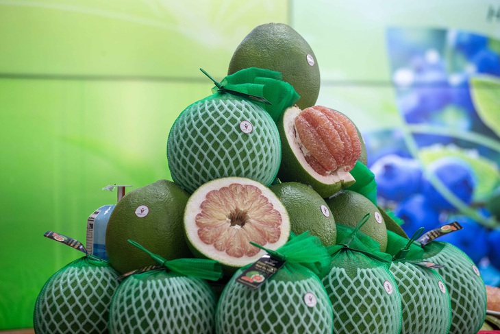 Trung Quốc là thị trường xuất khẩu trái bưởi tươi của Việt Nam - Ảnh: T.T

