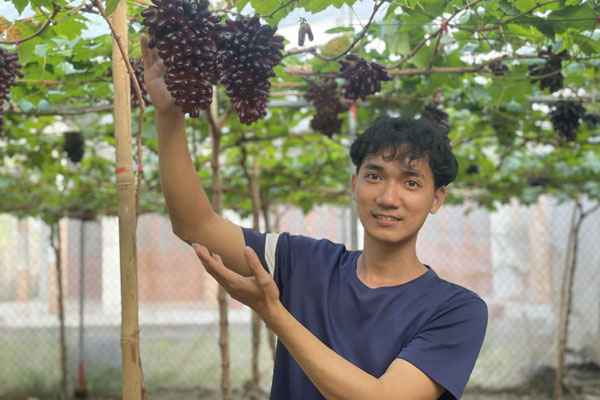 Anh Trần Văn Sang bên vườn nho hữu cơ có 9 giống khác nhau, khiến du khách mê mẩn.

