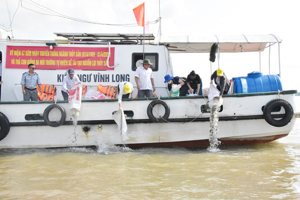 Cán bộ Sở Nông nghiệp và Môi trường, Chi cục Thủy sản, Kiểm ngư và Biển đảo thả giống thủy sản trên sông Cổ Chiên.