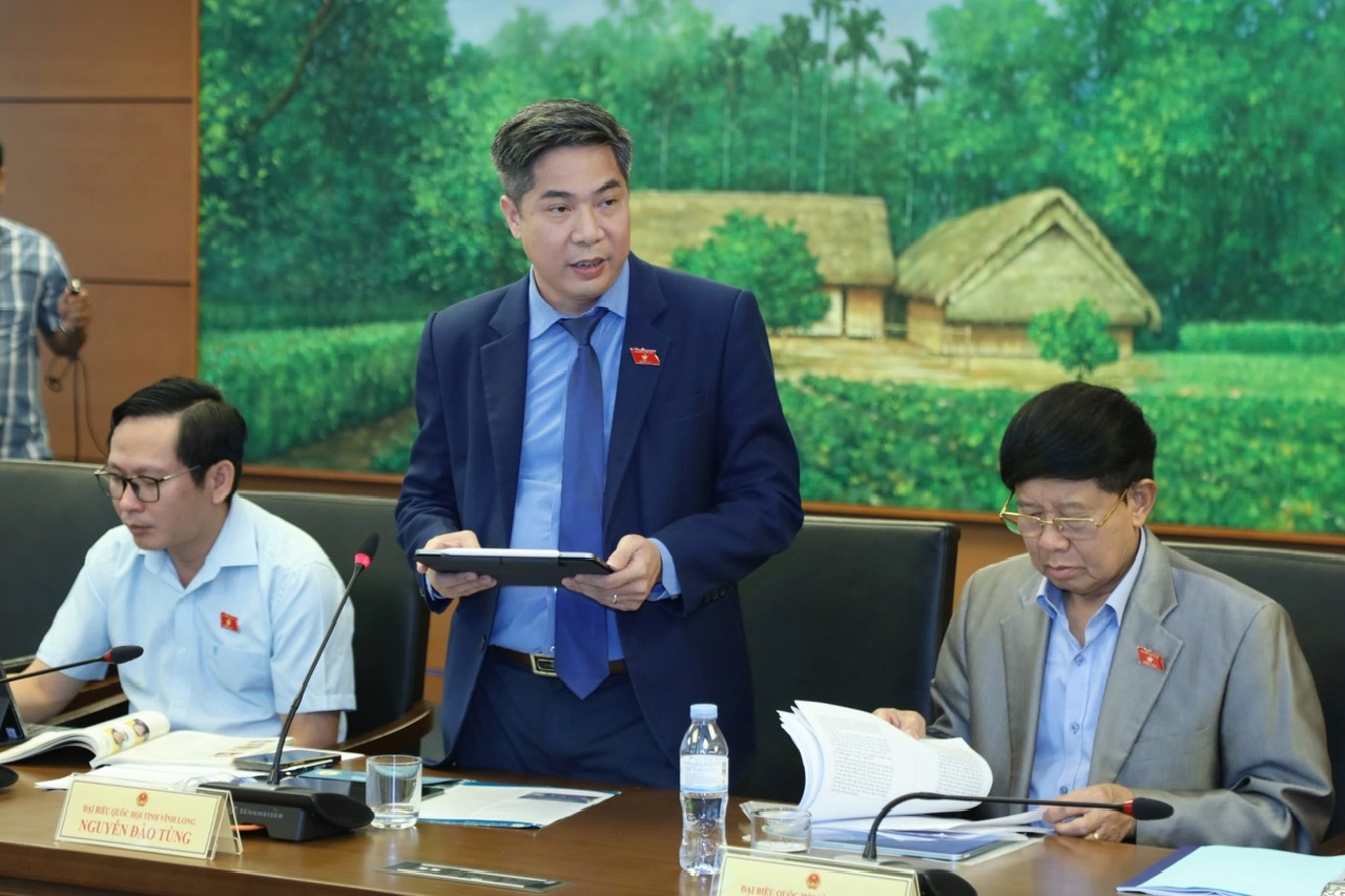  Đại biểu Nguyễn Đào Tùng phát biểu thảo luận.