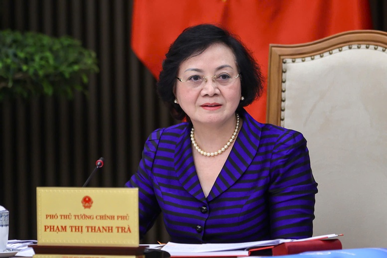 Bí thư Trung ương Đảng, Phó Thủ tướng Phạm Thị Thanh Trà phát biểu tại buổi làm việc - Ảnh: VGP

