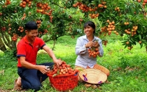 Bản tin thị trường ngày 14/5