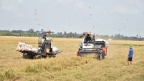 Bản tin thị trường ngày 16/5