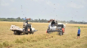Bản tin thị trường ngày 16/5