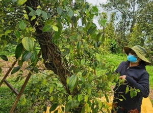 Bản tin thị trường ngày 19/5