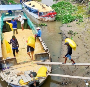 Bản tin thị trường ngày 22/5