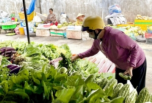 Mùa mưa: giá rau tăng, sản lượng giảm
