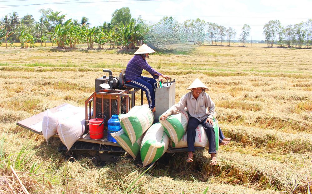 Xây dựng NTM gắn với giảm nghèo bền vững, nhiều hộ vươn lên thoát nghèo, tăng thu nhập. 
