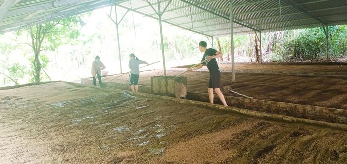 Nông dân dần thay đổi tư duy sản xuất, chuyển từ sản xuất truyền thống sang sản xuất xanh, bền vững, tuần hoàn.
 
