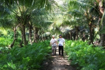 Xen canh: Nhiều lợi ích