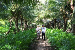 Xen canh: Nhiều lợi ích