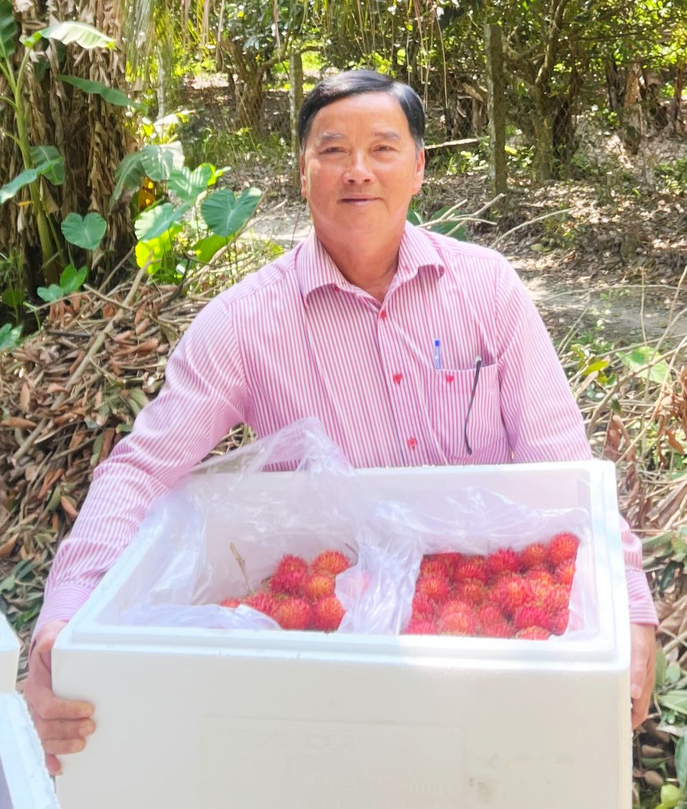 Đến nay, huyện Long Hồ có 44 sản phẩm đạt chuẩn OCOP. Trong ảnh: Sản phẩm chôm chôm Bình Hòa Phước đạt chứng nhận OCOP 4 sao. 