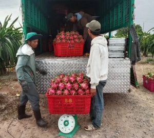 Bản tin thị trường ngày 24/5