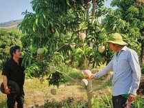 Bản tin thị trường ngày 12/5