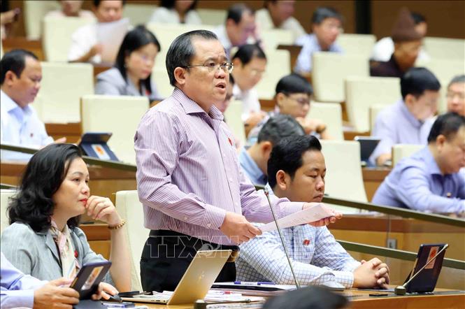 Đại biểu Quốc hội tỉnh Bà Rịa - Vũng Tàu Nguyễn Tâm Hùng phát biểu. Ảnh: Phạm Kiên/TTXVN