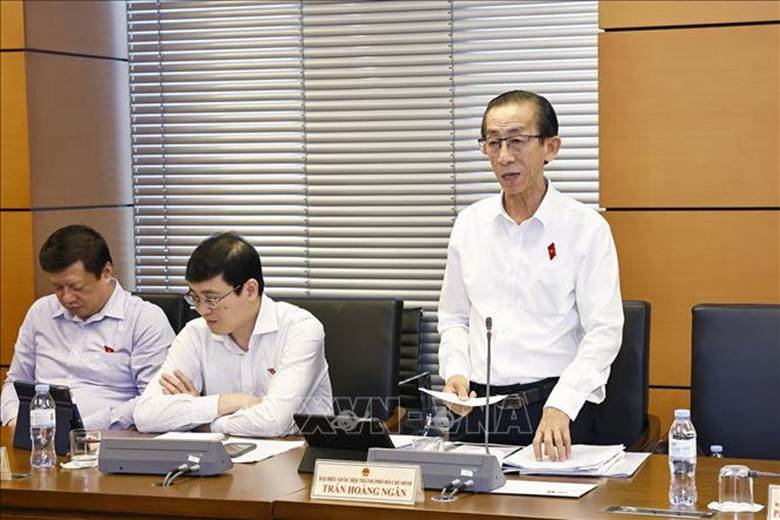 Đại biểu Quốc hội TP Hồ Chí Minh Trần Hoàng Ngân phát biểu. Ảnh: Doãn Tấn/TTXVN