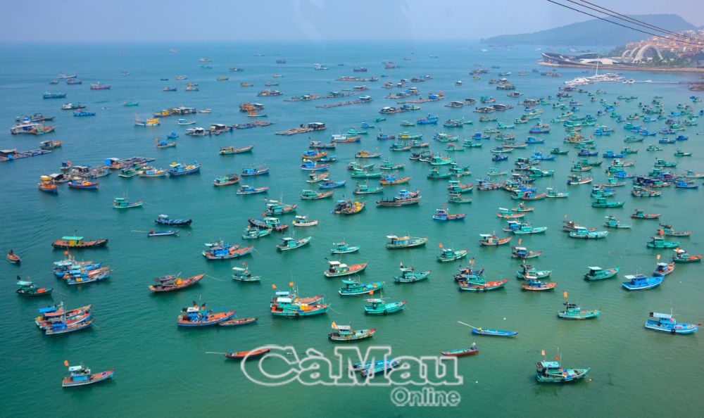 Ngồi trên cabin, du khách có trải nghiệm ngắm cảnh tàu, thuyền, ghe trên biển tuyệt đẹp.
