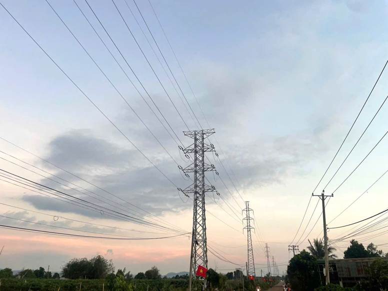 Các đơn vị vui mừng khi công trình Trạm biến áp 110kV Thanh Bình và đường dây đấu nối tỉnh Đồng Tháp đóng điện thành công sau gần 5 tháng nỗ lực thi công