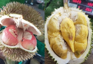 Bản tin thị trường ngày 10/5