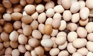 Bản tin thị trường ngày 23/5