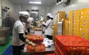 Bản tin thị trường ngày 30/5