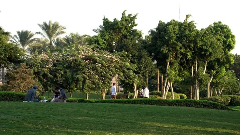Mảng xanh tại Công viên Al-Azhar ở Cairo, Ai Cập. (Ảnh minh họa: Xinhua)
