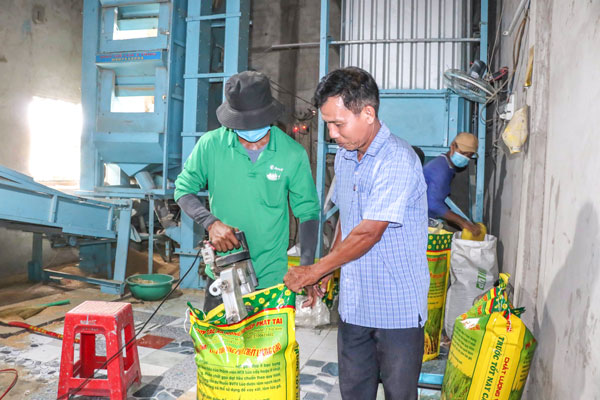 Ông Trần Văn Chung- Giám đốc HTX Nông nghiệp Phát Tài (bên phải) kiểm tra quy trình đóng gói gạo tại HTX.


