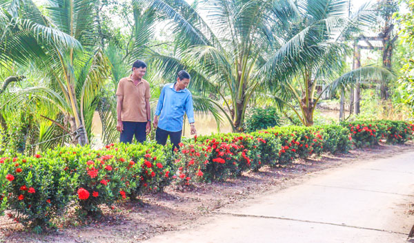 Từ sự góp công, góp sức của nông dân, các tuyến đường ở nông thôn ngày càng xanh, đẹp hơn.

