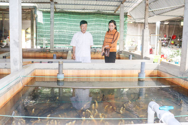 Nông dân chí thú làm ăn với nhiều mô hình kinh tế hiệu quả.

