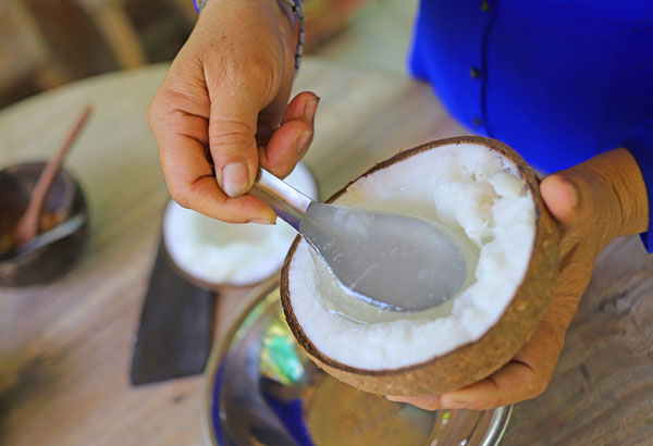 Dừa sáp có lớp cơm dừa dày, mềm, dẻo, đặc quánh cùng với ít nước sệt, vị béo ngậy và có hương thơm rất đặc trưng.

