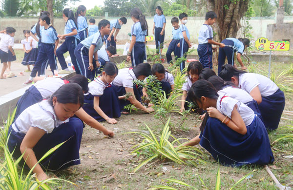Đội viên Trường Tiểu học Hiếu Phụng A với hoạt động chăm sóc khu vườn cây xanh.

