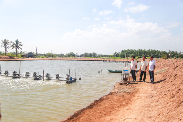 Các mô hình nuôi trồng thủy sản mang lại hiệu quả góp phần phát triển kinh tế- xã hội, nâng cao đời sống người dân Long Vĩnh. Ảnh: NGUYỄN THỊNH

