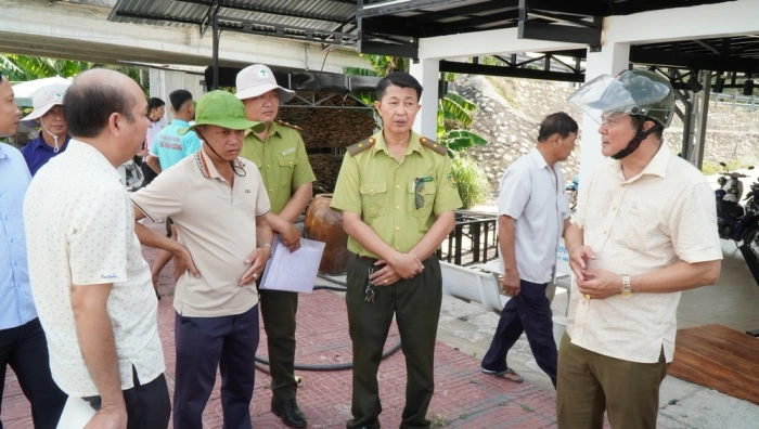Thông tin cá sấu xuất hiện ở Tiểu Cần là hình ảnh do AI tạo dựng