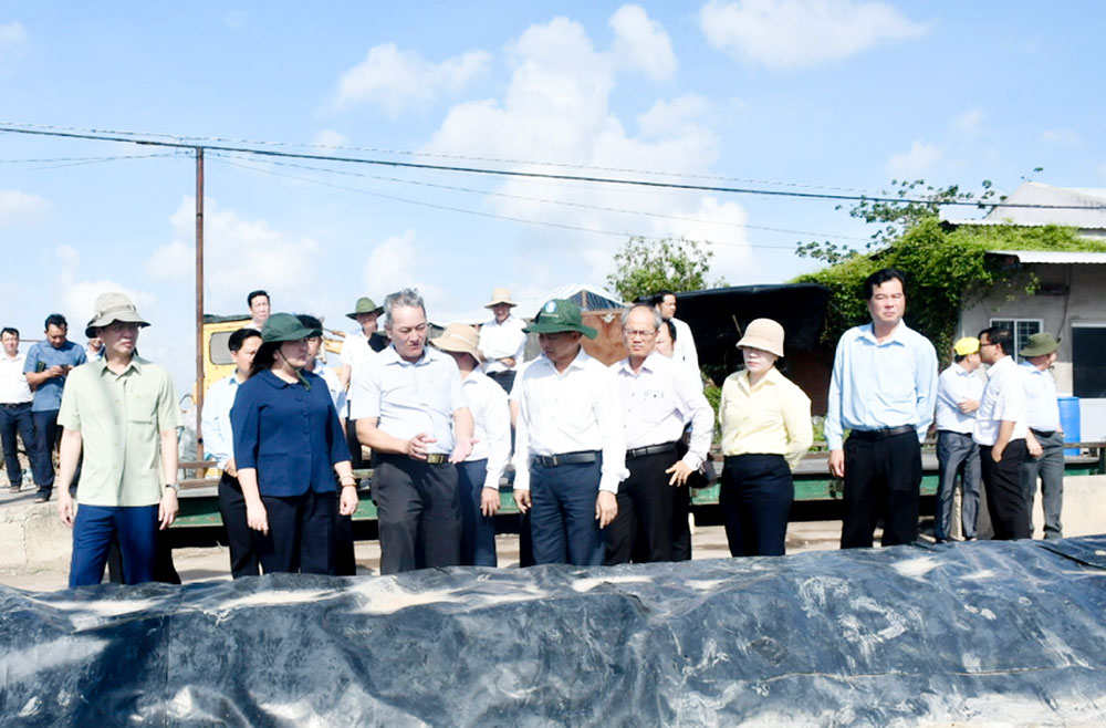 Đoàn công tác tỉnh kiểm tra tiến độ thi công Dự án Bãi rác An Hiệp.