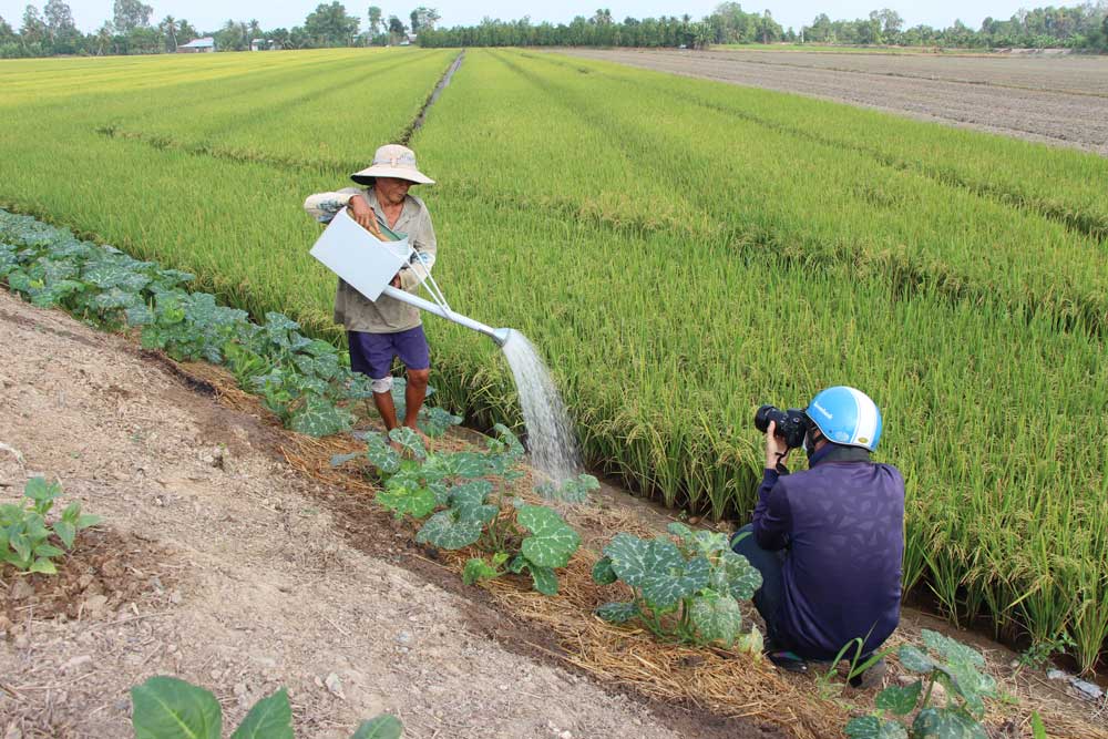  Để làm tốt nhiệm vụ thông tin, tuyên truyền về lĩnh vực tam nông, các phóng viên luôn hăng hái đi thực tế.