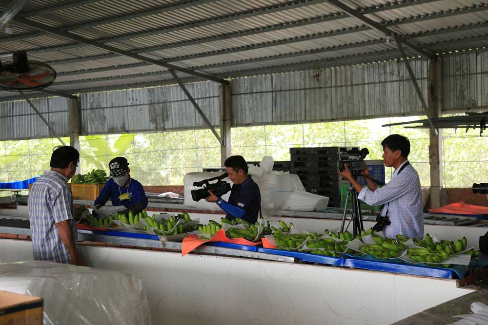 Báo chí tuyên truyền kịp thời, hiệu quả về các hoạt động của doanh nghiệp. ẢNH NGỌC LIỄU