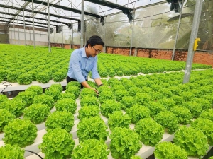 Doanh nghiệp hướng đến sản xuất xanh để giữ vững thị trường xuất khẩu