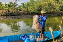 Mùa cá chốt