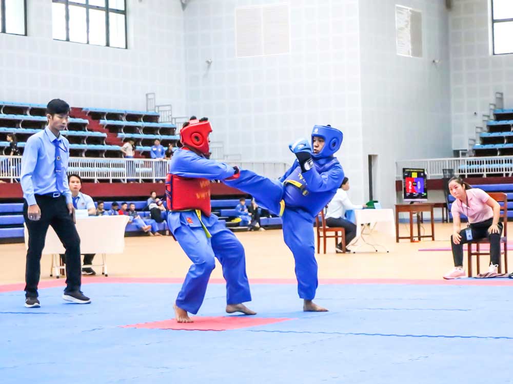 Vovinam Vĩnh Long thi đấu thành công tại Giải Vô địch vovinam Miền Nam tổ chức trên sân nhà với ngôi nhì toàn đoàn.