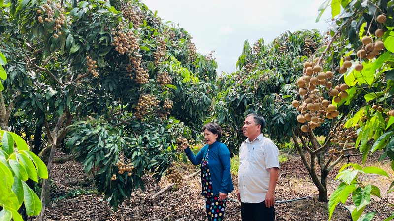 Nguồn vốn tín dụng chính sách đã góp phần “trợ lực” các đối tượng chính sách duy trì mở rộng sản xuất, giải quyết việc làm, phát triển kinh tế.

